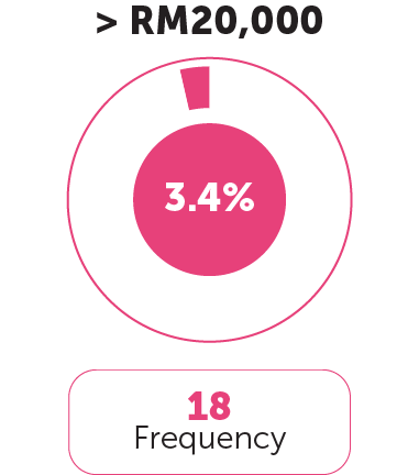 Income Category 8