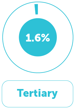 Education Distribution 4