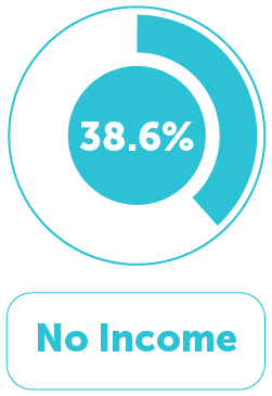 Income Distribution 1