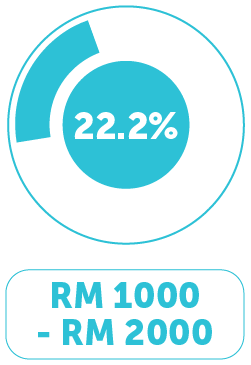 Income Distribution 3