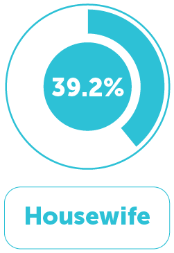 Occupation Distribution 1