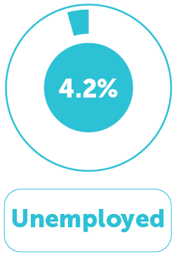 Occupation Distribution 5